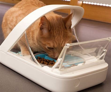 rfid chip cat bowl|microchip feeder for multiple cats.